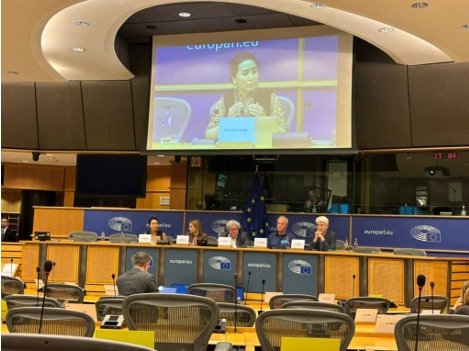 歐洲議會對華關係代表團關切西藏局勢