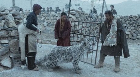 VOT-西藏著名導演萬瑪才旦的遺作《雪豹》獲東京國際影展的最高獎項