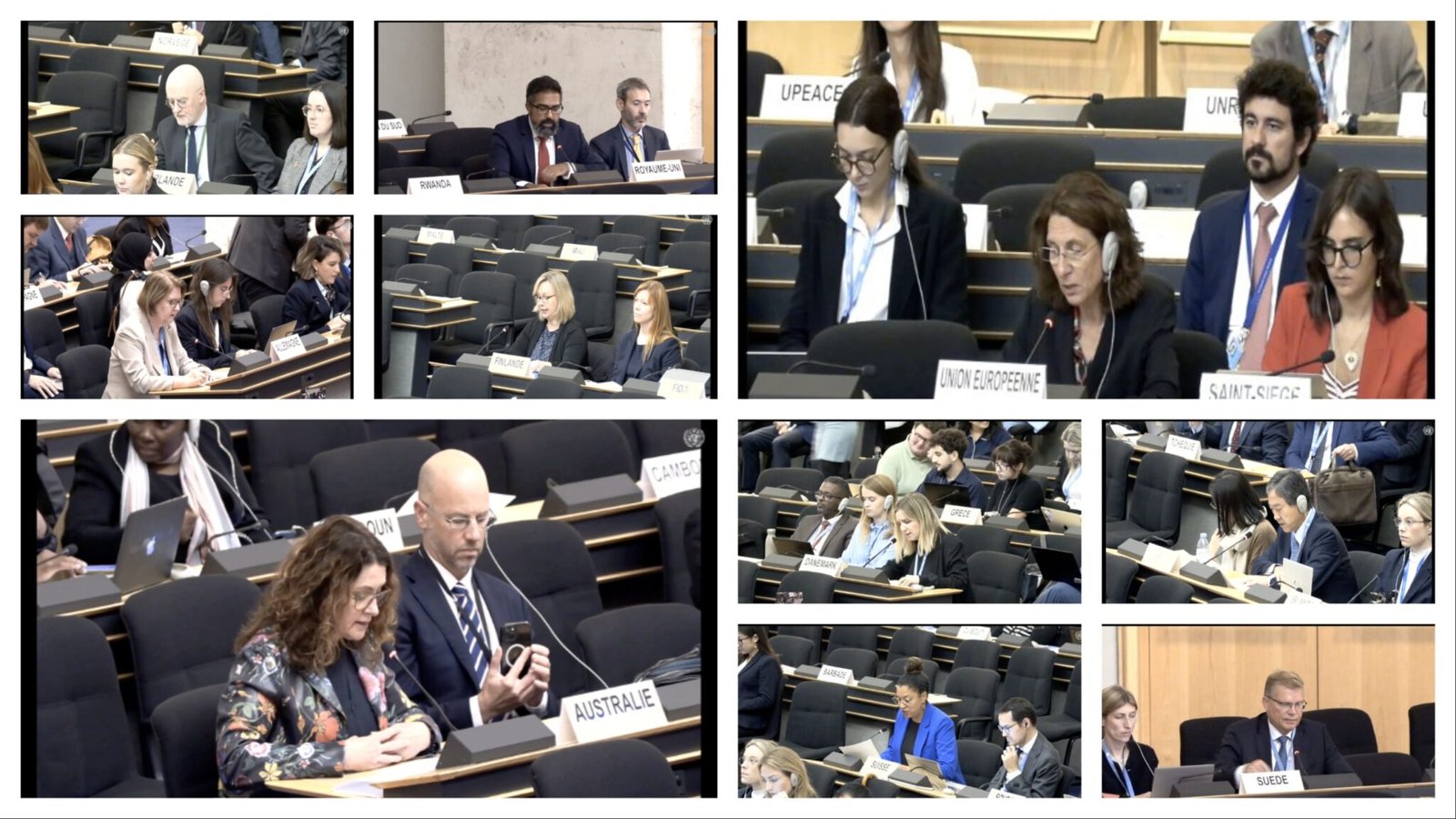 歐盟等多國在聯合國人權理事會第 60 屆會議上對中國人權狀況表達強烈關切